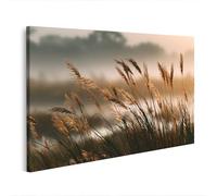 islandburner Cuadro sobre lienzo Siluetas de hierba salvaje en niebla de la mañana para decoración de pared - Edición D2