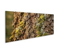 islandburner Imagen sobre lienzo Corteza de árbol antigua con musgo y líquenes como mural - Panorama