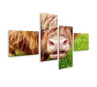islandburner, Imagen sobre lienzo de cerca de vacas herbívoras en un prado verde tratando de mirar a través de su cabeza de pelo. Póster mural en lienzo