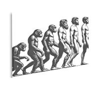 islandburner Imagen sobre lienzo evolución humana mono diferentes etapas hasta hombre moderno bosquejo grabado imágenes ficticias murales póster