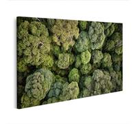 islandburner Imagen sobre lienzo fotografía aérea amazónica selva tropical techo con luz solar - Edición E2