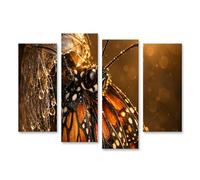 islandburner Imagen sobre lienzo Mariposa monarca cerca de la cáscara - 4 piezas