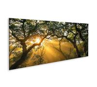 islandburner Imagen sobre lienzo mural de selva tropical con rayos de sol en luz dorada - Panorama