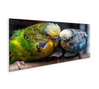 islandburner Imagen sobre lienzo Periquitos Vibrante Mural Sala de Estar Para Amigos Animales - Panorama