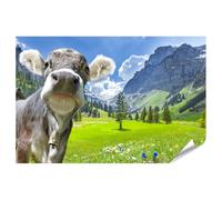 islandburner Póster curioso de vaca en paisaje alpino con montañas y prados - estándar