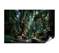 islandburner Póster de alta calidad con majestuoso bosque de secuoyas, impresión artística para salón para amantes de la naturaleza, edición estándar G2