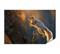 islandburner Póster de ardilla saltando entre árboles en la luz de la mañana, edición estándar K3