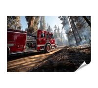 islandburner Póster de camión de bomberos rojo en el borde del bosque después de un desastre de incendio - gran formato