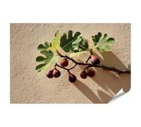 islandburner Póster premium con diseño de ramas de higueras maduras con hojas en una pared cálida - estándar