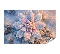 islandburner Póster premium con flores alpinas heladas para los amantes de la naturaleza, gran formato