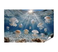 islandburner Póster premium con medusas fascinantes en la luz del sol, mural para sala de estar para amantes de la naturaleza, gran