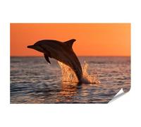 islandburner Póster premium de ensueño de delfín salto mural para salón para amantes de la naturaleza - gran formato