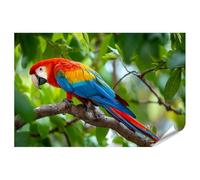 islandburner Póster premium de guacamayo colorido sobre rama en la selva tropical - Mural para amantes de la naturaleza - gran formato - Edición O1