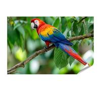 islandburner Póster premium de guacamayo colorido sobre rama en la selva tropical para amantes de la naturaleza, formato grande, edición P1