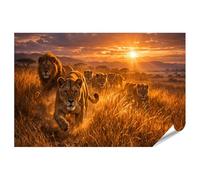 islandburner Póster premium de manada de leones en el atardecer para los amantes de los animales, gran formato