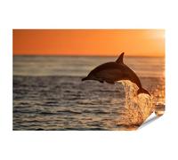 islandburner Póster premium fascinante de salto de delfín mural para sala de estar para amantes del mar - gran formato