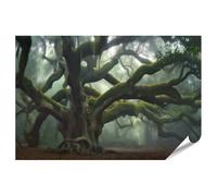 islandburner Póster XXL de árbol místico en la niebla del bosque mágico lleno de secretos, imágenes de alta calidad, impresión fotográfica