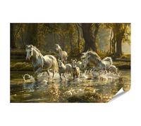islandburner Póster XXL de caballos en la luz del sol en la orilla del río bailando en el agua imágenes de calidad fotográfica