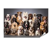 islandburner Póster XXL de grupo grande de perros diferentes razas mascotas sentado blanco imágenes premium fotos impresión fotográfica