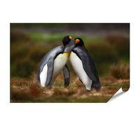 islandburner Prime XXL - Póster de pingüinos abrazo, naturaleza, amistad con animales, grupo de dos, imágenes de alta calidad, impresión fotográfica
