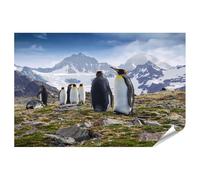 islandburner Prime XXL - Póster de pingüinos en una nieve nevada paisaje de montaña, imágenes de alta calidad, impresión fotográfica