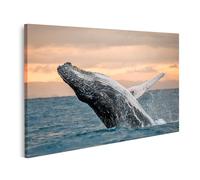 islandburner Primer cuadro sobre lienzo ballena jorobada salto al atardecer imágenes murales póster