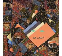 Animal Collective – Isn't It Now? – Vinilo (2LP)
