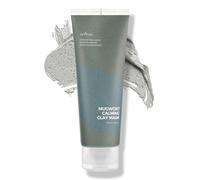 IsNtree Mascarilla de arcilla calmante Mugwort 100 ml, 3,38 fl.oz | Control de sebo | Estrechamiento de poros | Exfolia la piel áspera | Cuidado de los puntos negros