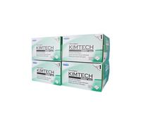 iSonic P4875II Limpiador de discos de vinilo ultrasónico motorizado