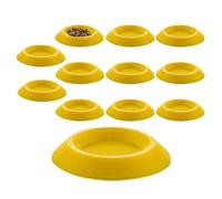 Isopod Feeder - 12 Piezas de inclinación de optimizada, recintos de terrarios, Bandeja de alimentación, recintos Antideslizantes, bandejas de alimentación Isopod para coletas de Resorte