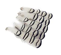 iSpchen Butterme 50?pcs Natural Blanco Plumas de fais¨¢n Plumas/Plumas de/Decorativo/de Plumas de Pavo Real de Nicole Tamarin/Sombrero Negro 3?¨C?4?Pulgadas, para DIY, Crafts, decoraci¨®n del hogar
