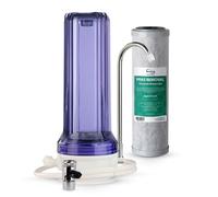 iSpring CKC1C-PF Filtro de Agua de Encimera 2.5" x 10", Filtro Probado por SGS, Reduce PFAs, Cloro y Olores, Compatible con la Mayoría de los Grifos, Hasta 12 Meses (1 Filtro Incluido)