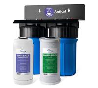 iSpring WGB21B-DS Purificador de Agua de Entrada General para Toda la Casa