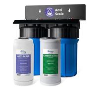 iSpring WGB21B-DS Purificador de Agua, Filtro Agua Entrada General, Sistema para Toda la Casa, Filtro Antical + CTO 10" x 4.5" (Cloro y Olor), Conexión 1", Sin Cal y Protección Tuberías