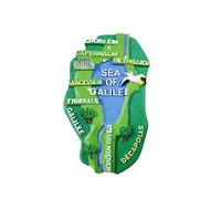 Israel 3D Mar de Galilea Imán de nevera regalo de recuerdo, resina hecha a mano Israel imán de refrigerador colección de decoración para el hogar y la cocina