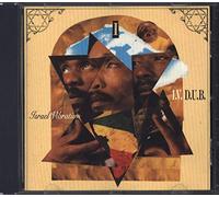 Israel Vibration^Israel Vibration^Israel Vibration - I.V.D.U.B.