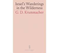 Israel's Wanderings in the Wilderness