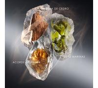 ISSEY MIYAKE Le Sel d’Issey Eau de Parfum - 150 ML REFILL Eau de Parfum Perfumes Hombre