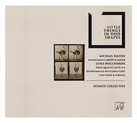 Istante Collective - Period Instrument Collective - Little Things in Odd Shapes - Werke von M. Haydn & L. Boccherini