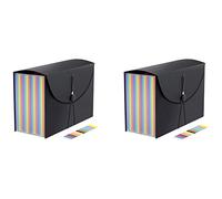ISTOVO 2X Organizador de Archivos Accordian, Carpeta de Archivos Expandible, Carpeta Accordian Portátil Tamaño Carta, para Documentos En Papel Tamaño Carta A4