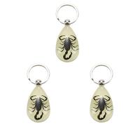 ISTOVO 3X de Insecto Real Que Brilla en la Oscuridad (Escorpión Negro)