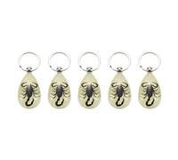 ISTOVO 5X de Insecto Real Que Brilla en la Oscuridad (Escorpión Negro)