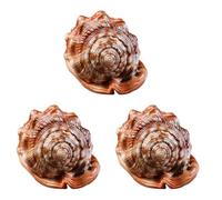 ISTOVO Casco de Boca de Toro Natural Concha Concha Coral Pecera de Caracol de Mar Adornan Adorno 3 Unids
