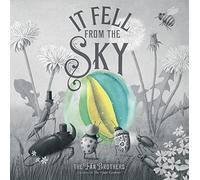 It Fell From The Sky