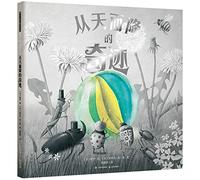 It Fell From the Sky (Hardcover) (Chinese Edition)