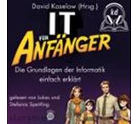 It Für Anfänger (audiolibro)