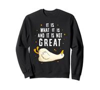 It is What it is and it is Not Great Funny Silly Goose Meme Sudadera