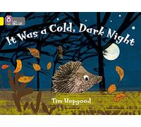 It Was a Cold Dark Night: Band 03/Yellow (Collins Big Cat)