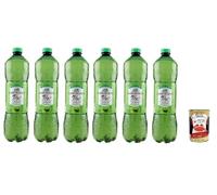 Italian Gourmet Tè Verde Matcha Bevanda - Té helado (6 x 1,5 l), cactus refrescante