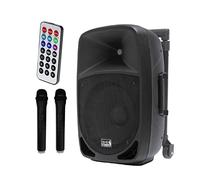 Italian Stage IS FR12AWV2 - Sistema de audio con carretilla amplificada de 12 pulgadas, con 2 micrófonos inalámbricos UHF, tarjeta SD, USB, módulo Bluetooth y mando a distancia, 200 W de pico, color